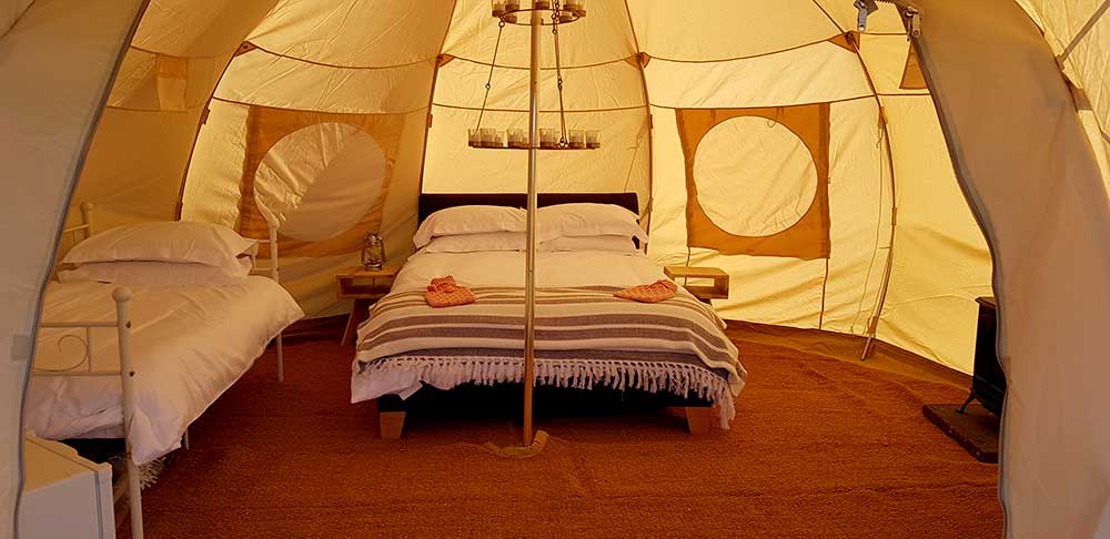 Pastoor Masaccio chrysant Accommodation – Rolling Fields Glamping Oxfordshire